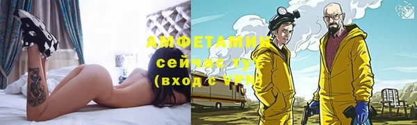 спайс Богданович