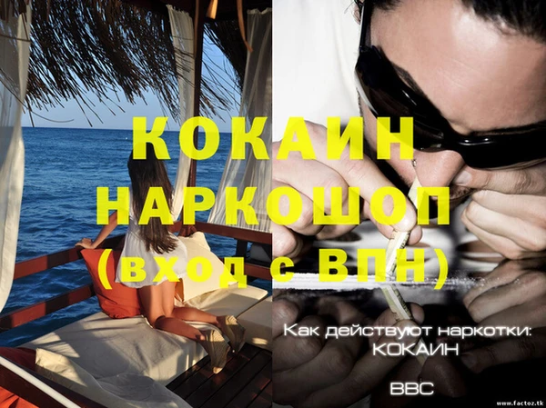 спайс Богданович