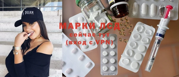 спайс Богданович