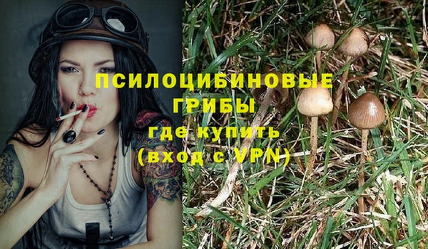 альфа пвп Богородицк