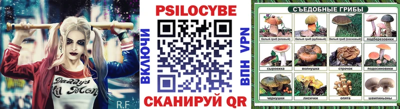 Галлюциногенные грибы Cubensis  Тамбов 